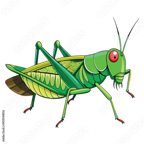 Grasshopper Vector 