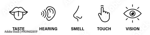 Human sense icons. Human senses vector icon. Five human senses. EPS 10