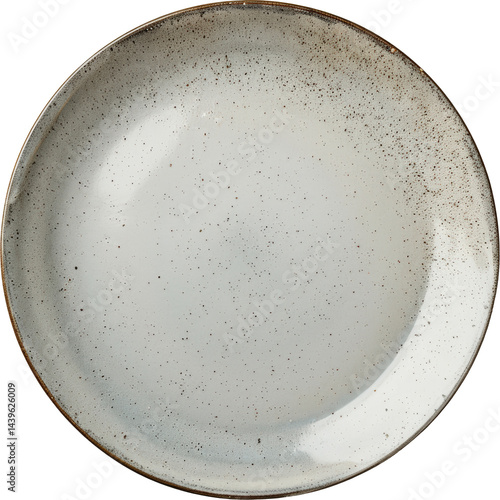 Elegant ceramic plate with speckles