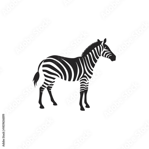 Zebra illustration black white