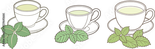 Herbal tea cups with mint leaves vector illustration