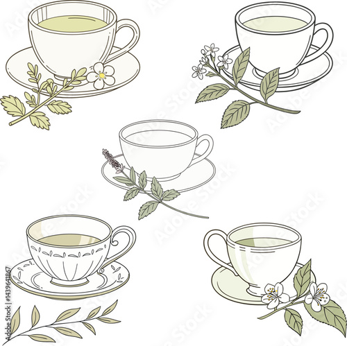 Herbal Tea Cups Botanical Illustration