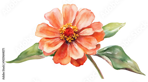 Wallpaper Mural Beautiful orange flower with green leaves. Torontodigital.ca