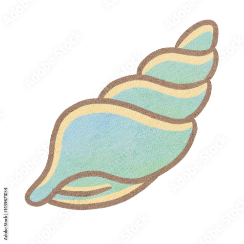 Sea shell
