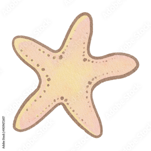 starfish on white background