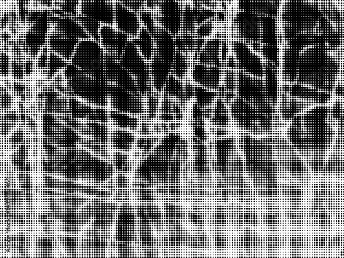 Grunge rough distressed background with halftone vector texture. Abstract Black and White Halftone Dot Pattern with Crackle Network Texture