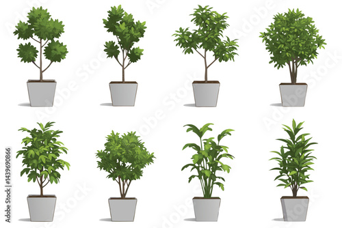 Potted Shrub Illustration Collection

