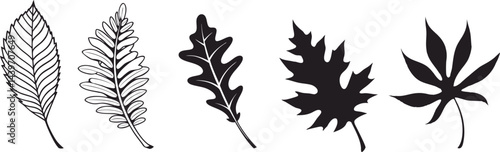 Hand-drawn leaf silhouettes set including maple, oak, fern, and elm leaves, detailed botanical illustration perfect for autumn designs, tattoos, prints, logos, and natural decorative projects.