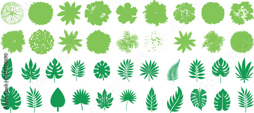Tree top view, foliage, and tropical leaves vector set perfect for landscape design, botanical illustration, or eco projects. Includes diverse tree canopy shapes, jungle leaves, and tropical plant