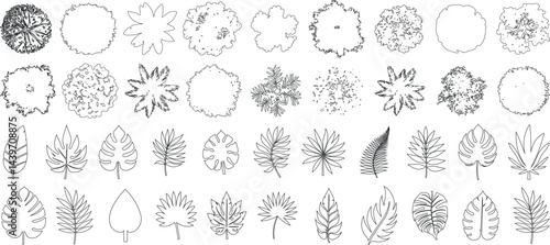 Tree top view, leaf icon set, plant illustration set for architectural design. Tree top view vector collection features diverse tree and leaf sketches for landscape planning, botanical art