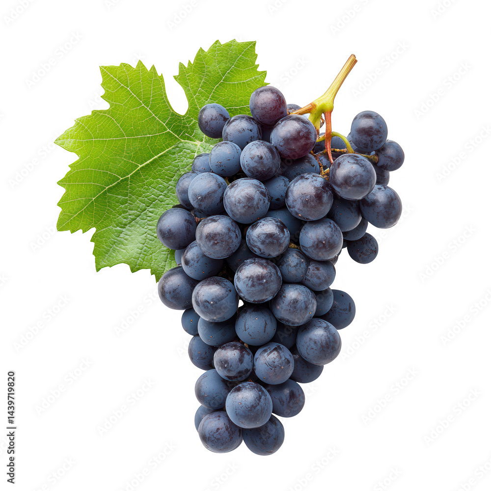 Fototapeta premium Exquisite bunch of black grapes with a vibrant green leaf isolated