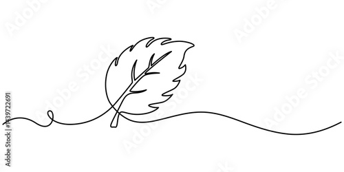Continuous one line drawing of mint. Modern style vector illustration on isolated background, Mint, spearmint vector illustration.Background for label design. One continuous line art drawing.