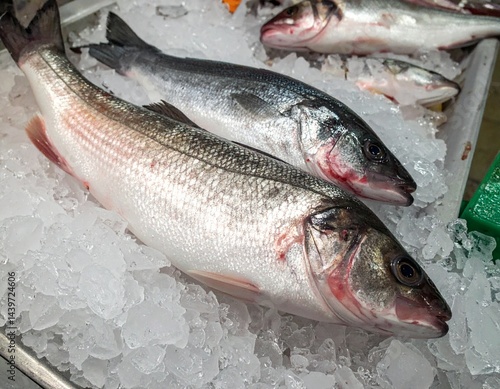 fishmarket