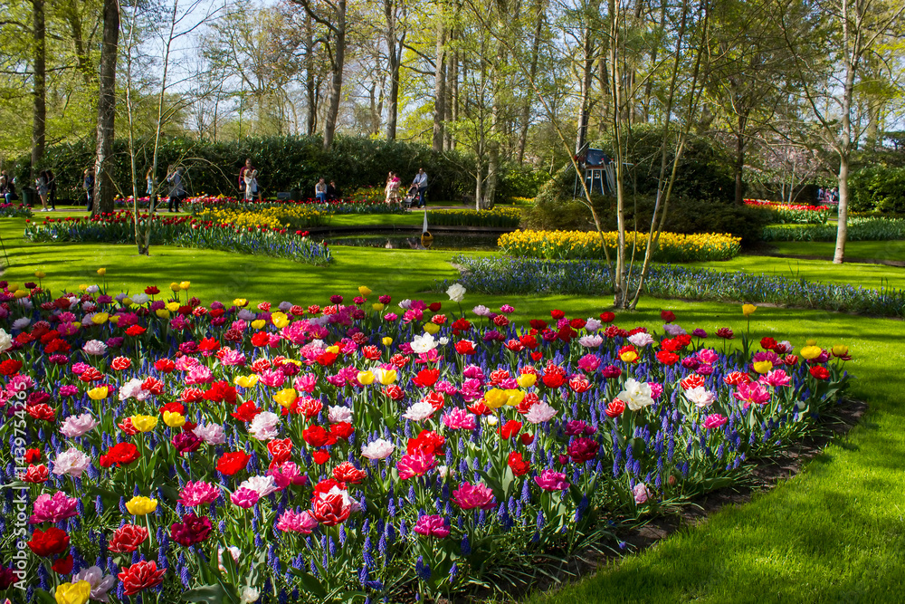 spring flowers in Keuhenhof in the Netherlands