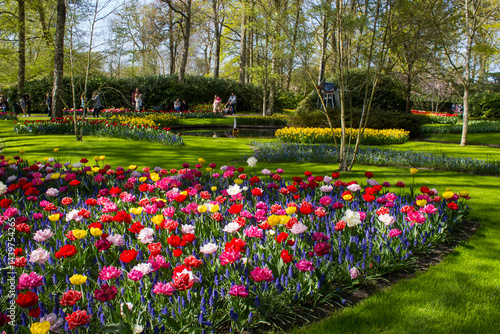 Obraz na płótnie spring flowers in Keuhenhof in the Netherlands w salonie