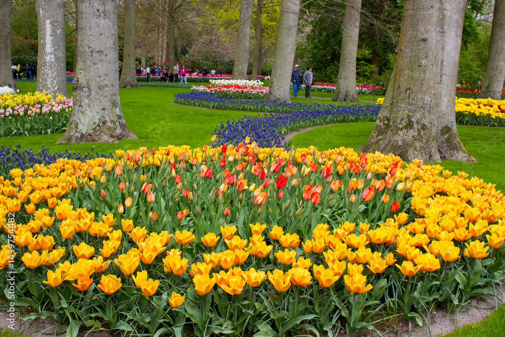 spring flowers in Keuhenhof in the Netherlands