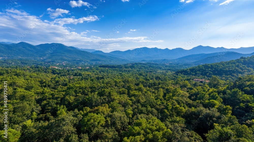 Fototapeta premium Mountain Forest Landscape