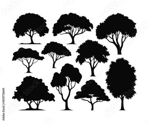 Isolated Elm Tree Silhouette Collection Vector Template