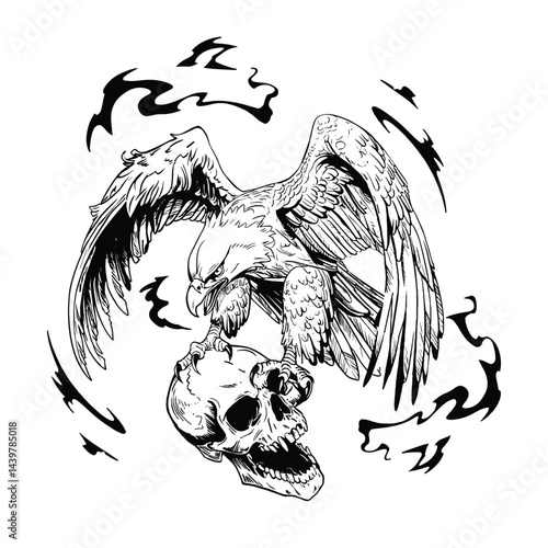 Eagle and Skull Artwork  lineart Illustration
