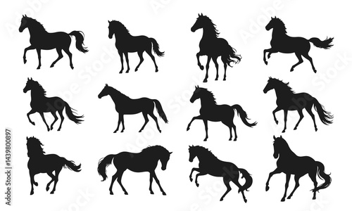 Horse silhouette collection, wild running horse, galloping horse vector, black horse outline, stallion graphic