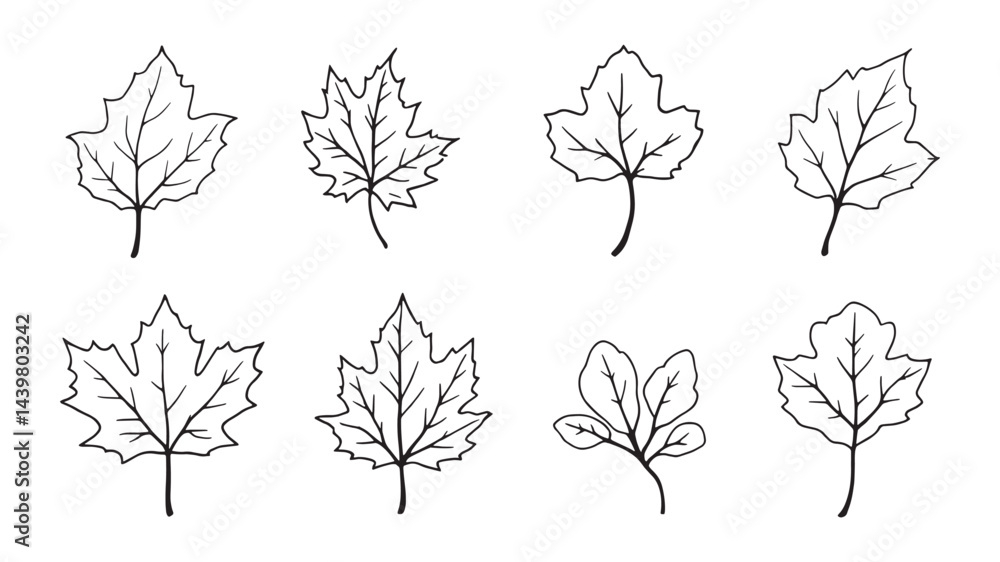 Obraz premium Fall leaf line art illustration in minimalist design style