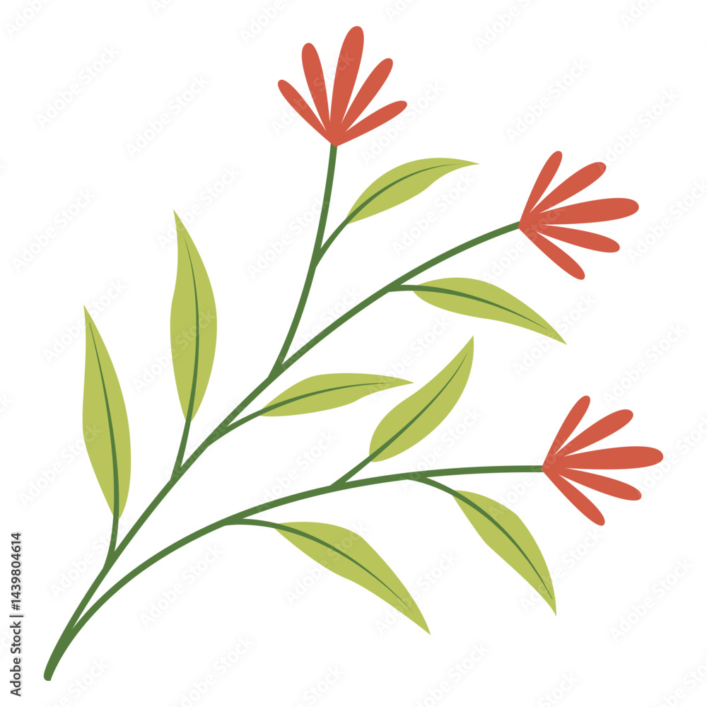 red flower isolated on white background red flower isolated on white background