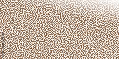 Abstract Reaction-diffusion Turing pattern natural texture brown gradient color scheme. Linear design with biological algorithm psychedelic background. Reaction-diffusion or truing patter