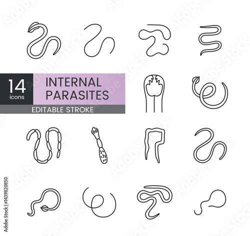 Editable stroke vector line icons of internal parasites including roundworms tapeworms hookworms and echinococcus ideal for veterinary infographics pet health materials and medical visuals