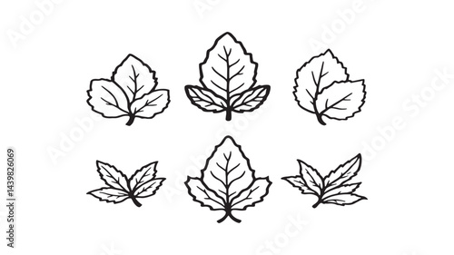 Mint leaf line art minimalist botanical illustration for prints