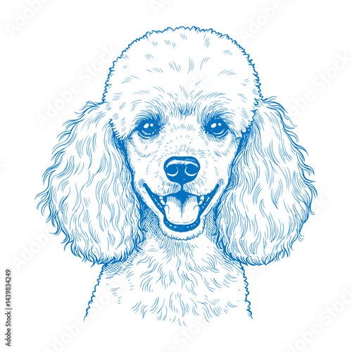 Vector Art of a Poodle Dog in Playful Stance, Featuring Detailed Fur and Cheerful Expression, Perfect for Pet Illustrations and Merchandise