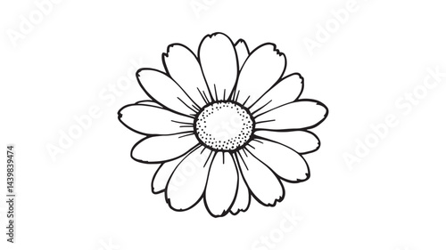 Common daisy blossom line art floral design elegant nature sketch