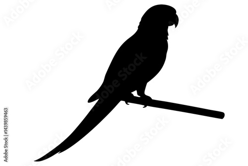 Parrot silhouette on branch exotic bird vector illustration template design, parrot, silhouette, bird, exotic, tropical, animal, branch, perch, vector, illustration, design, cut out, isolated