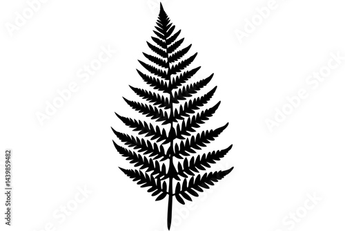 Isolated fern frond silhouette detailed botanical illustration simple natural design, fern, frond, silhouette, black, white, isolated, vector, botanical, illustration, nature, plant, leaf, design