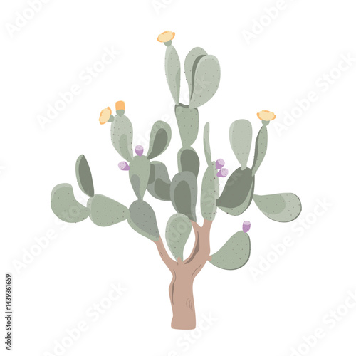 Prickly pear isolated plant. Bunny ear cactus. Opuntia vector illustration.