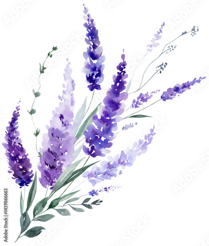 Bouquet made of watercolor lavender flowers. Purple wildflowers wedding isolated illustration