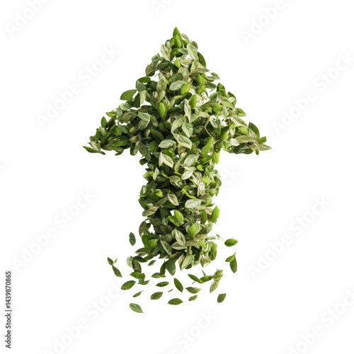 Upward Growth Green Leaves Forming an Arrow
