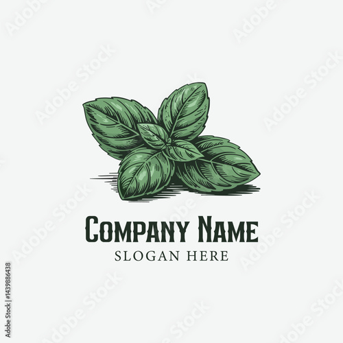Hand drawn vintage green basil leaf logo 