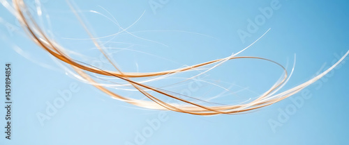 Wallpaper Mural close up of a feather flying in the sky Torontodigital.ca