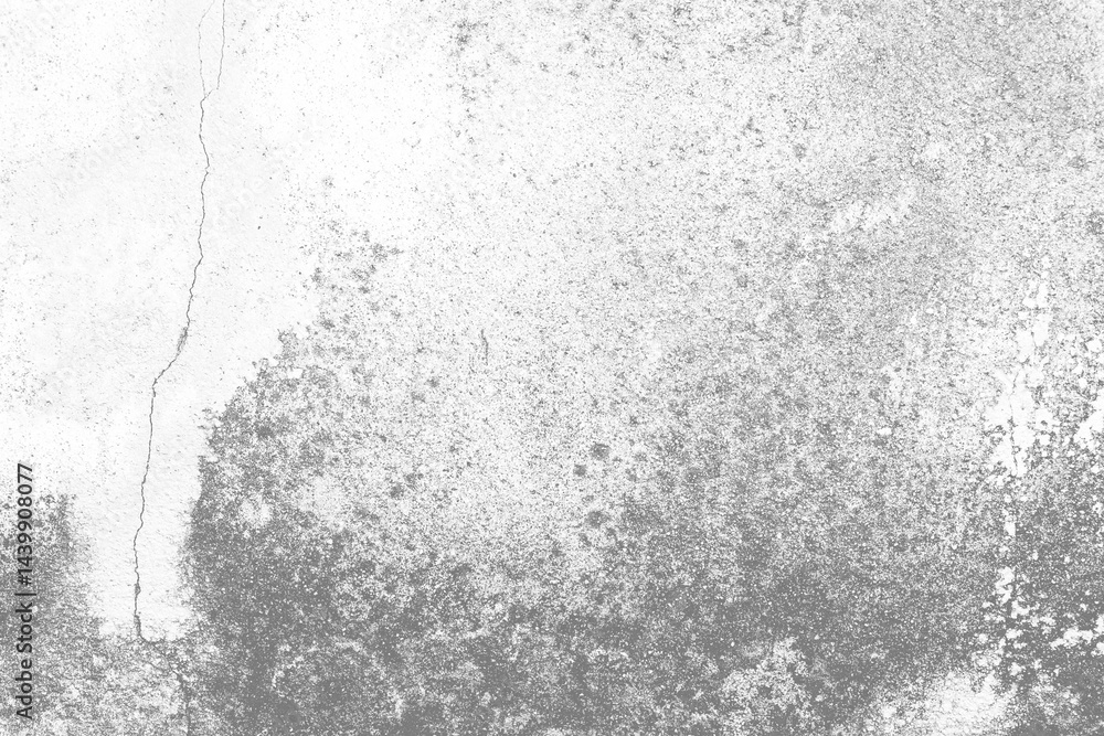 Gray concrete floor texture or background , copy space gradients shadow. White cement wall. Grunge for design.