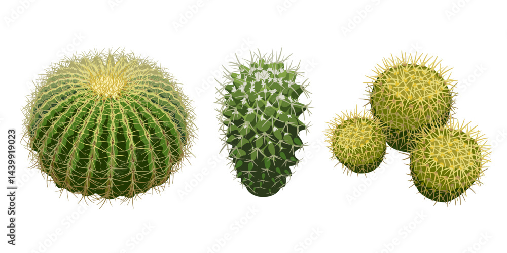 A set of Cactus flowers isolated on white background. Desert and tropical thorny houseplants.
A set of Cactus flowers isolated on white background. Desert and tropical thorny houseplants.