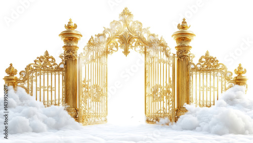 Ornate Golden Gate Open in the Clouds Entrance
