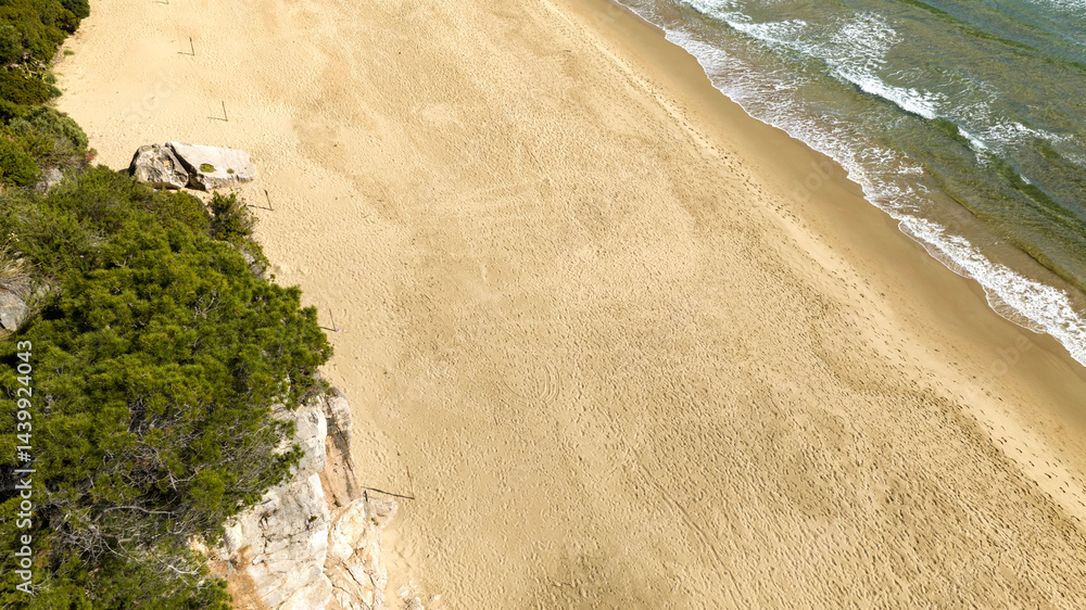 Aerial view of an empty beach. Behind the coast is a forest with trees. On the sand are footprints