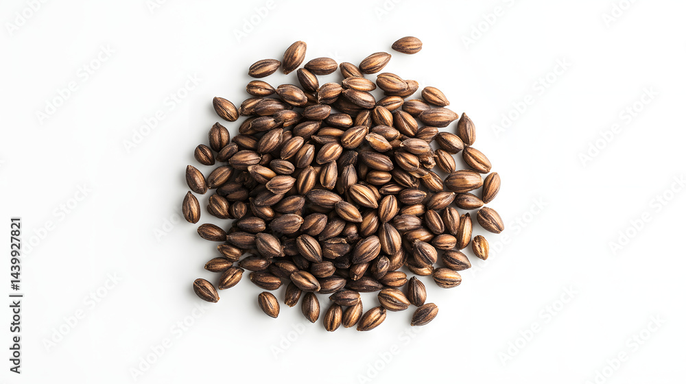 A pile of whole barley grains neatly arranged on a flat white background, showcasing their warm brown hues and smooth appearance. A pile of whole barley grains neatly arranged on a flat white background, showcasing their warm brown hues and smooth appearance.