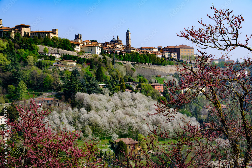 View of Bergamo Alta, Italy, at springtime