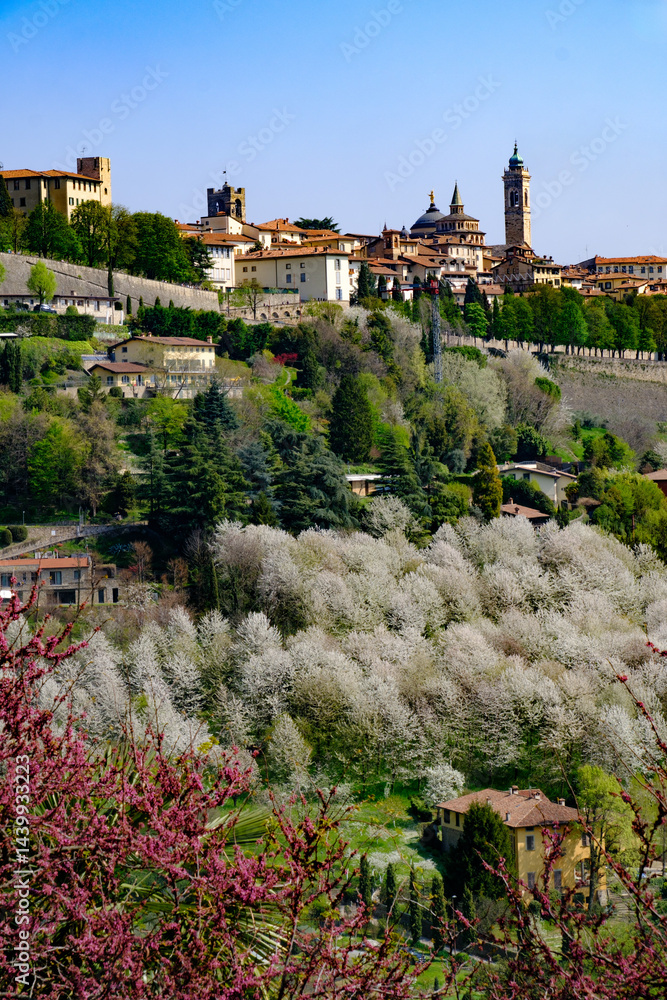 View of Bergamo Alta, Italy, at springtime