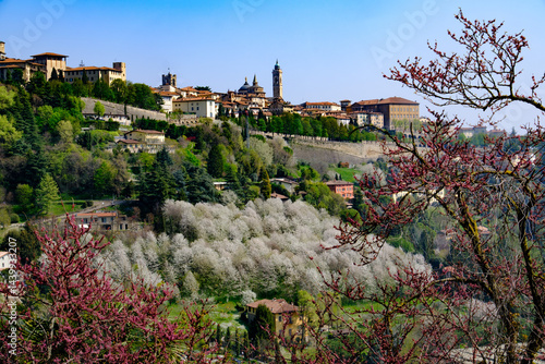 Obraz na płótnie View of Bergamo Alta, Italy, at springtime w salonie