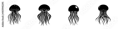 Vector illustration of various jellyfish designs in black and white for artistic and educational purposes