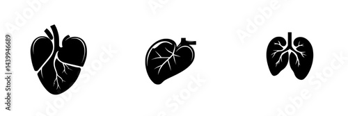 Vector illustration of black and white heart and lung icons representing health and anatomy elements
