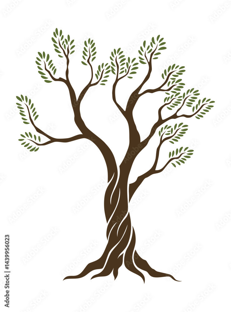 Olive trees with branches and leaves for design of packaging, label, logotype or banner. Natural organic stylized olive icon, premium quality sign. Vector illustration