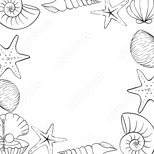 Seashells and starfish square frame template for text. Vector graphic line ink illustration. Marine illustration of the underwater world hand drawn in black ink graphically.